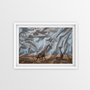 Lámina Seda salvaje 40x30