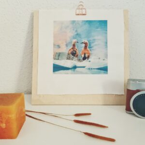 Impresión textil Sé donde van los patos